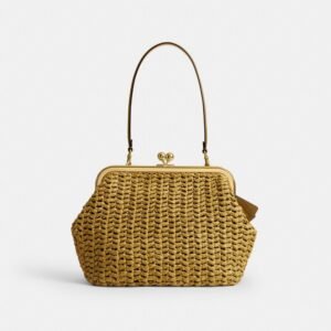 Coach Kisslock Frame Bag 27