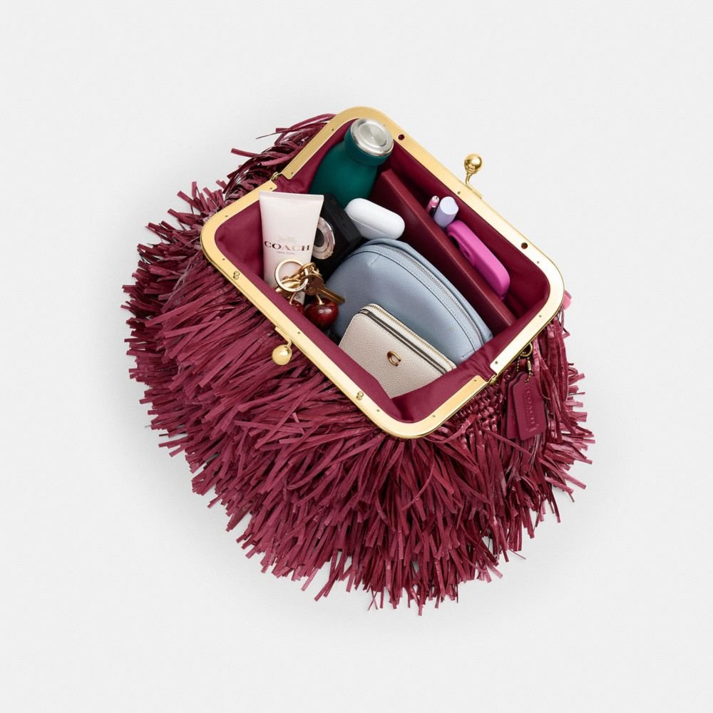 Coach Kisslock Frame Bag 27 - Image 8